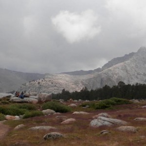 P7130048