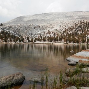 P7130061