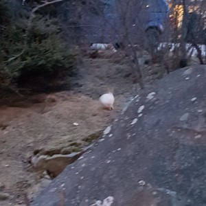 20210309_214042