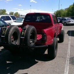 Spotted at cottonwood