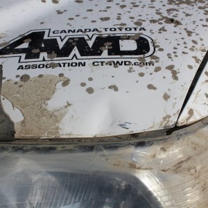 muddy