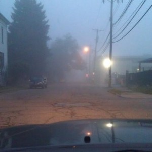 Foggy morning.