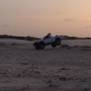 TTTT1