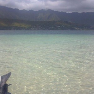 Gf is out fishing today back home :jellydance: