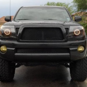 Morimoto xB LED Amber