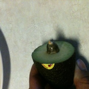 Ever seen an avocado seed this small? Lol!!!