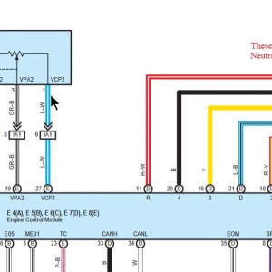 PN Safety Switch 2