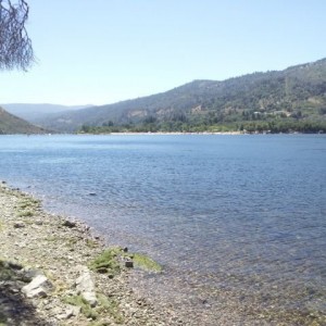 Haven't caught anything yet