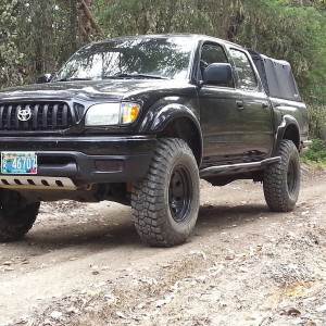 out in the woods
