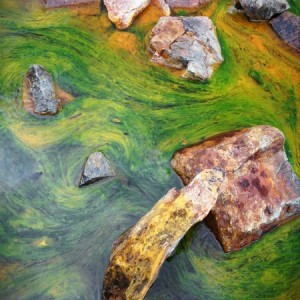 Peru_Creek_02