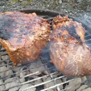 My tri tip broke in half :(