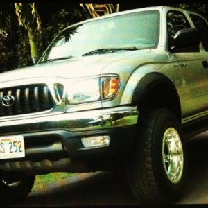 photo7