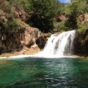 Fossil Springs
