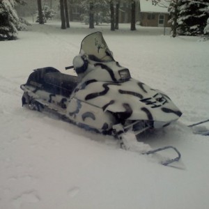 prowler