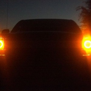 Orange halos at night!