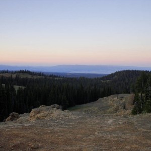 DSC06414