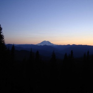 DSC06419
