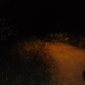 DSCF01741