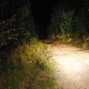 DSCF01751