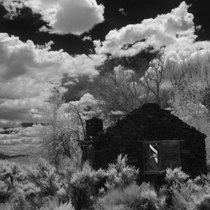 Toiyabe NF