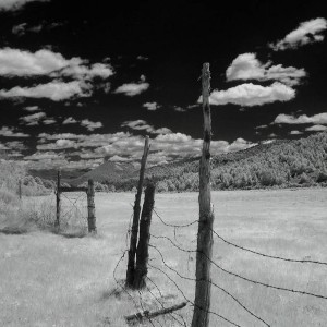 Toiyabe NF