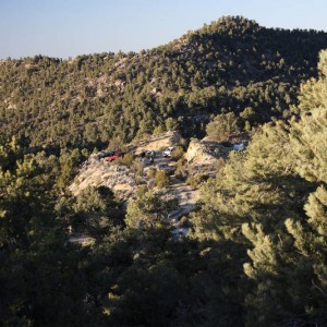 Toiyabe NF