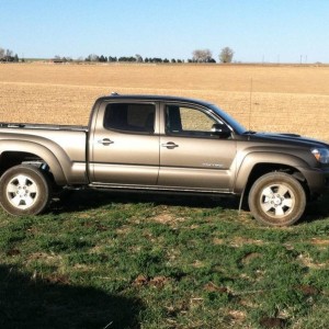 2012 Pyrite Sport Tacoma