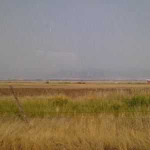 Smokey :(