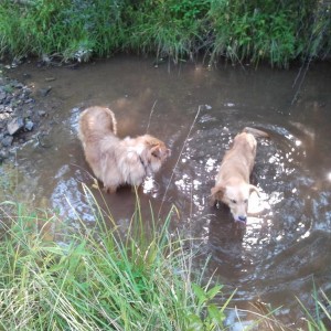 2012-08-08_17_18_00