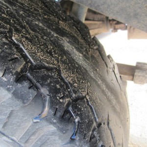 Wildcar'ds Truck