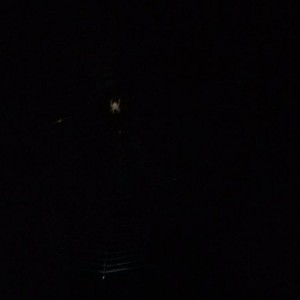 Web in my face but the games on now buddySent from my Verizon Wireless 4G L