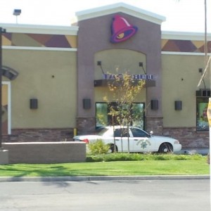 Everyone loves taco bell
