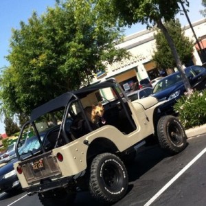 My sexy beast!