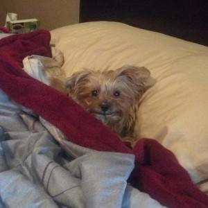 Maggie