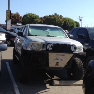 Spotted, san pedro ca