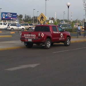IMAG03595