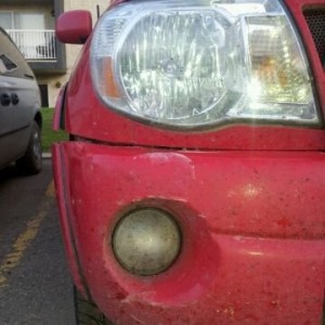Bad news: someone drove into me. FFS.. This message was sent from a Bell mo
