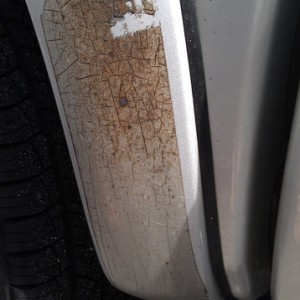 Chip guard, passenger side