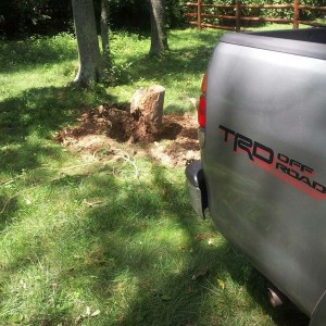 Tundra doin work.