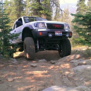 Gnarly Trail