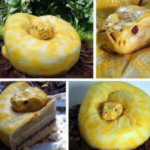 snake cake