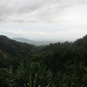 View of Kingston City,Jamaica