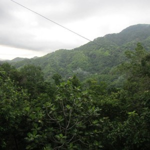 View of Mountains, St.Andrew, Jamaica