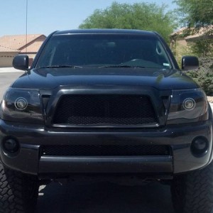 blacked out fogs