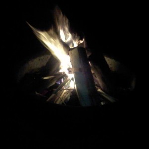 livefyBeyr