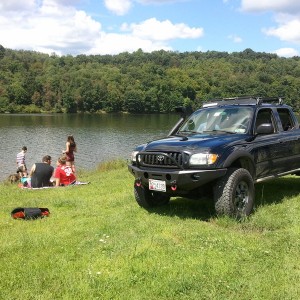 Taken the dogs for a swim with some buddies and beers...