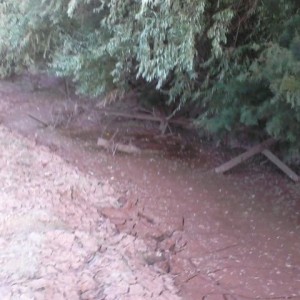Found some water