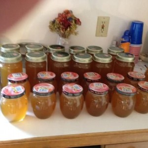 40 lbs of honey from 2 small hives this year.