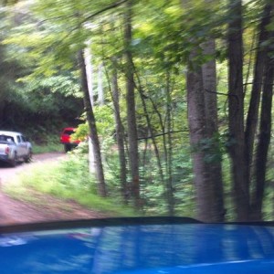 Ga meet