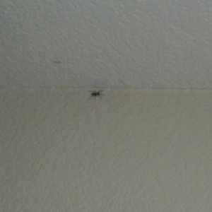 Fucker caught me off guard :mad:
